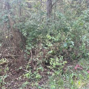 Photo #2 of GREENWAY LANE, LURAY, VA 0.7 acres