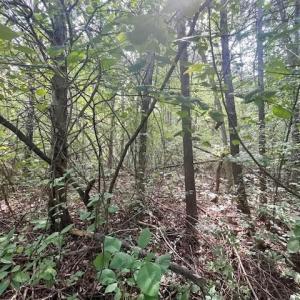 Photo #1 of GREENWAY LANE, LURAY, VA 0.7 acres