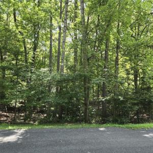 Photo #1 of 135 MONTICELLO CIR, LOCUST GROVE, VA 0.5 acres