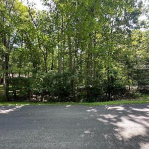 Photo #2 of 135 MONTICELLO CIR, LOCUST GROVE, VA 0.5 acres