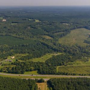 Photo #5 of 24395 GERMANNA HIGHWAY, LIGNUM, VA 97.2 acres
