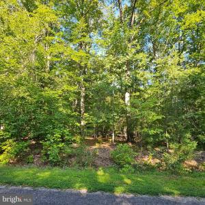 Photo #17 of 6200 BILLS RD, MINERAL, VA 1.0 acres