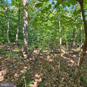Photo #18 of 6200 BILLS RD, MINERAL, VA 1.0 acres