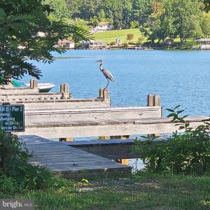 Photo #6 of 6200 BILLS RD, MINERAL, VA 1.0 acres