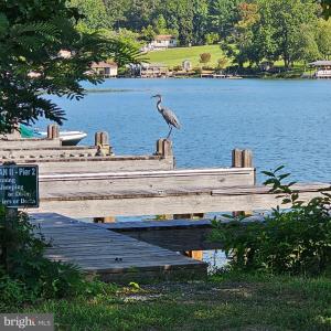 Photo #9 of 6202 BILLS RD, MINERAL, VA 1.0 acres