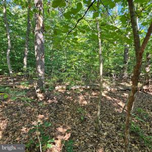 Photo #23 of 6202 BILLS RD, MINERAL, VA 1.0 acres