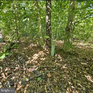 Photo #22 of 6202 BILLS RD, MINERAL, VA 1.0 acres