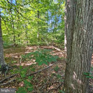 Photo #25 of 6202 BILLS RD, MINERAL, VA 1.0 acres