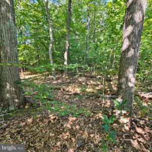 Photo #26 of 6202 BILLS RD, MINERAL, VA 1.0 acres