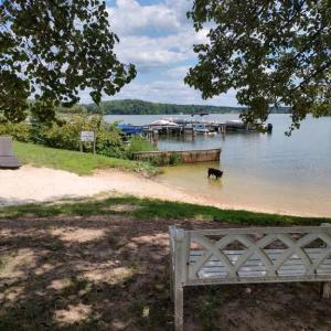 Photo #5 of 6206 EDS RD, MINERAL, VA 1.6 acres