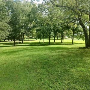 Photo #4 of 6206 EDS RD, MINERAL, VA 1.6 acres