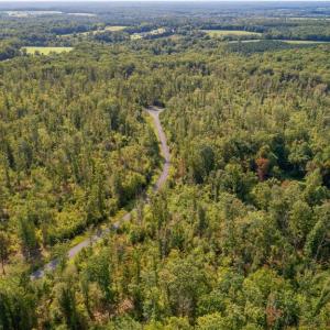 Photo #7 of ZACHARY TAYLOR HWY, UNIONVILLE, VA 20.3 acres