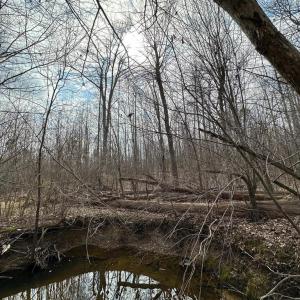 Photo #11 of ZACHARY TAYLOR HWY, UNIONVILLE, VA 20.3 acres