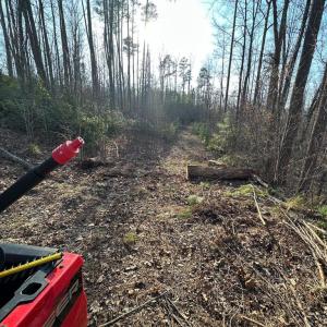 Photo #13 of ZACHARY TAYLOR HWY, UNIONVILLE, VA 20.3 acres