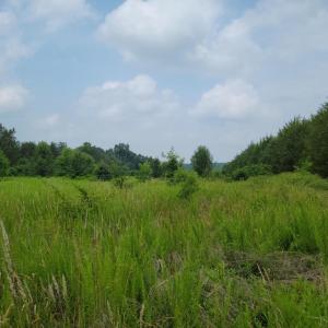 Photo #3 of UNASSIGNED, MIDLAND, VA 11.2 acres
