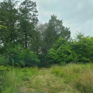Photo #5 of UNASSIGNED, MIDLAND, VA 11.2 acres