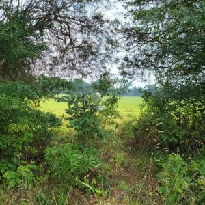 Photo #4 of UNASSIGNED, MIDLAND, VA 11.2 acres