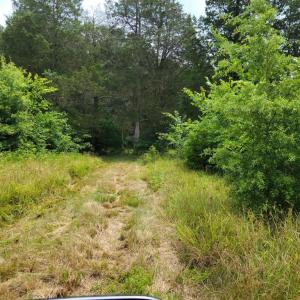 Photo #2 of UNASSIGNED, MIDLAND, VA 11.2 acres