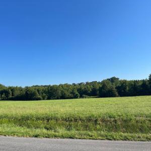 Photo #2 of 610 HOLLAND CREEK RD, LOUISA, VA 10.3 acres