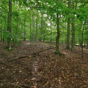 Photo #6 of JEFFERSON DR, PALMYRA, VA 0.5 acres