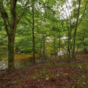 Photo #4 of JEFFERSON DR, PALMYRA, VA 0.5 acres