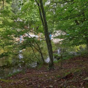 Photo #7 of JEFFERSON DR, PALMYRA, VA 0.5 acres