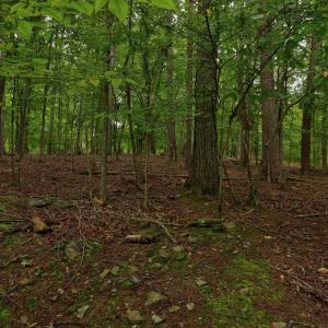 Photo #5 of JEFFERSON DR, PALMYRA, VA 0.5 acres