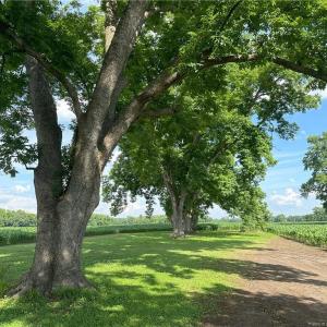 Photo #1 of Lot A Pleasant Hope, Lumberton, NC 0.7 acres