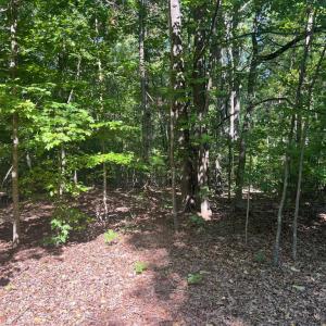 Photo #6 of 6028 LOST COVE DR, MINERAL, VA 2.5 acres