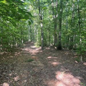 Photo #7 of 6028 LOST COVE DR, MINERAL, VA 2.5 acres