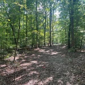 Photo #9 of 6028 LOST COVE DR, MINERAL, VA 2.5 acres