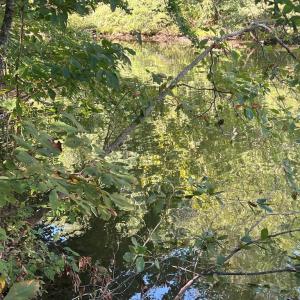 Photo #10 of 6028 LOST COVE DR, MINERAL, VA 2.5 acres