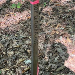 Photo #12 of 6028 LOST COVE DR, MINERAL, VA 2.5 acres