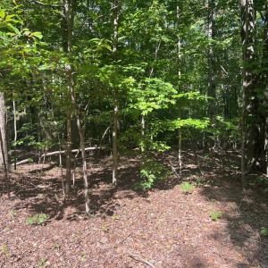 Photo #12 of 6028 LOST COVE DR, MINERAL, VA 2.5 acres