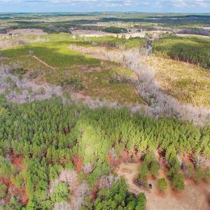 Photo #4 of TBD Montrose (Lot 8), Raeford, NC 14.3 acres