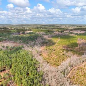Photo #2 of TBD Montrose (Lot 8), Raeford, NC 14.3 acres