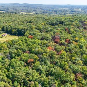Photo #24 of OBANNONS MILL RD, BOSTON, VA 4.5 acres