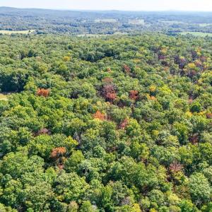 Photo #25 of OBANNONS MILL RD, BOSTON, VA 4.5 acres