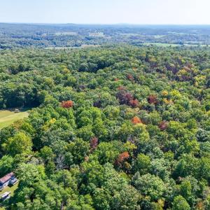 Photo #26 of OBANNONS MILL RD, BOSTON, VA 4.5 acres