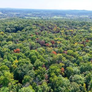 Photo #27 of OBANNONS MILL RD, BOSTON, VA 4.5 acres