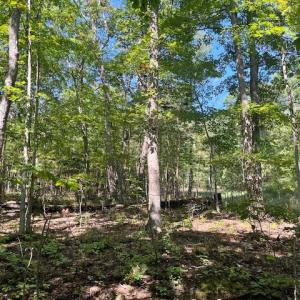Photo #5 of CARDINAL DR., LURAY, VA 3.0 acres