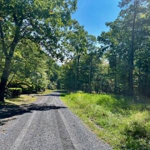 Photo #6 of CARDINAL DR., LURAY, VA 3.0 acres