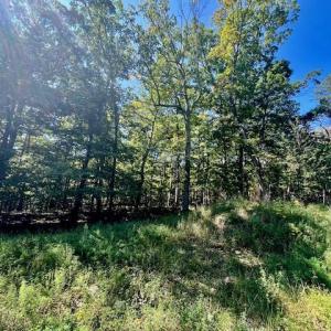 Photo #3 of CARDINAL DR., LURAY, VA 3.0 acres