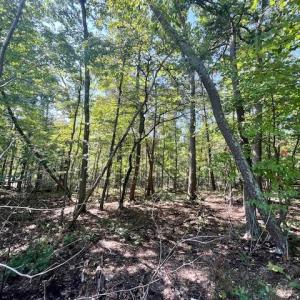 Photo #1 of CARDINAL DR., LURAY, VA 3.0 acres