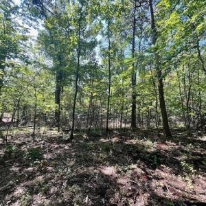 Photo #4 of CARDINAL DR., LURAY, VA 3.0 acres