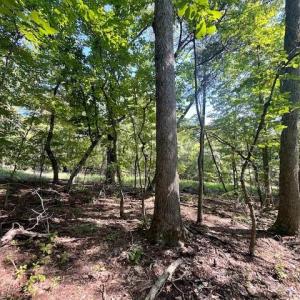 Photo #2 of CARDINAL DR., LURAY, VA 3.0 acres