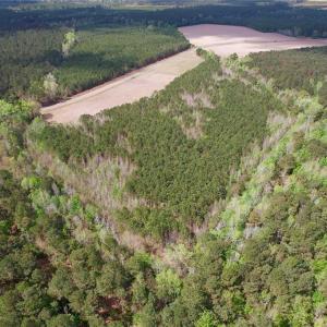 Photo #4 of 3331 Bogie Island, Fayetteville, NC 28.1 acres