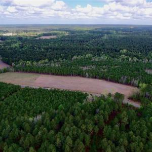 Photo #10 of 3331 Bogie Island, Fayetteville, NC 28.1 acres