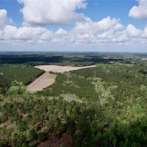Photo #6 of 3331 Bogie Island, Fayetteville, NC 28.1 acres