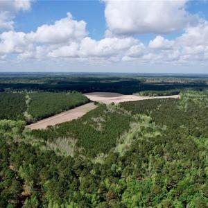 Photo #5 of 3331 Bogie Island, Fayetteville, NC 28.1 acres